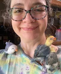 Agapornis Fisher Papilleros 🐥❤️✨ Anillados