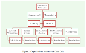 Unit 3 Organizational Structure Behaviour Assignment Capco