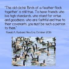 Birds Of A Feather Flock Together Song The Old Cliche Birds Of A Feather Flock Together Is Still True To Have Friends Who Live High S Daily Words Of Wisdom Inspirational Thoughts Mormon Messages