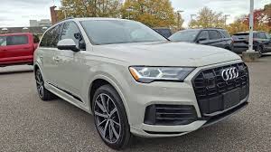 Image result for Vicuna Beige 2022 SQ8