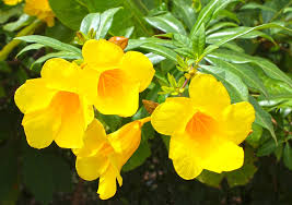 Related image