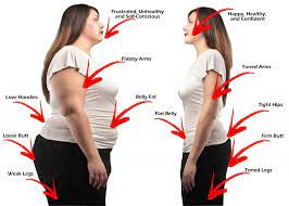 Where Do You Lose Weight First A Complete Guide