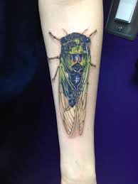 The insect has an uncanny ability to choose the perfect time to appear and start the life cycle all over again. Tibicen Cicada Tattoo Cicada Mania