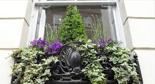 Window Box Box Lavender Campanula And Ivy Window Box Window Boxes Garden Styles