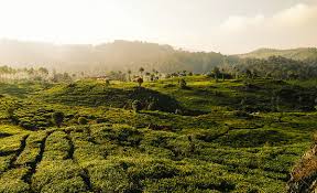This area is an enclave in the mount halimun salak national park. Rancabali Bandung Wikipedia Bahasa Indonesia Ensiklopedia Bebas