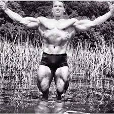 Schwarzenegger's childhood was far from ideal. A Young Arnold Looking Like He Was Carved From Stone Schwarzenegger Bodybuilding Arnold Schwarzenegger Bodybuilding Bodybuilding Instagram