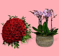 Red typically has more personal associations than any other hue as it works to increase energy levels, encourages confidence and provides a sense of protection from fear and anxiety. Flower Delivery South East London Plants F P Co