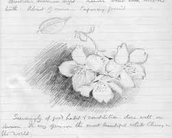 He was brought up in privilege and benefited from family money all his life. Collingwood Ingram Pen ãƒšãƒ³