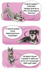 chestnyj gid po porodam sobak ot pervogo lica chast 2 ya porody sobak kane korso sobaki