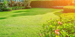 This can be in pounds or ounces. 6 Effective Homemade Lawn Fertilizers That Are Safe From Hazardous Chemicals Balcony Garden Web