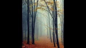 Green leaf tree, photo of road surrounded by trees, nature, photography. Pin On Painting