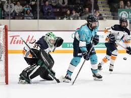 Dream Gap Tour Leaves Collingwood After Weekend Of Pro Hockey - Collingwood  News