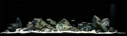 Pin By Jason Fisher On Pets Aquarium Design Hardscape Saltwater Aquarium Setup
