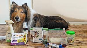 Parasite Protection For Dogs With The Mdr1 Gene Collie Chatter