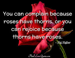 Maybe you would like to learn more about one of these? If You Love A Flower Don T Pick It Up Because If You Pick It Up It Dies And Purelovequotes