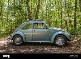 Image result for Pastel Green 1953 Beetle