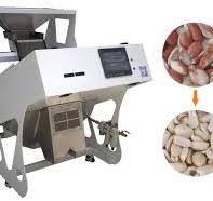 Professional peanut color sorter, peeling peanuts color ...