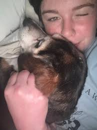 Star Trek fans and their pets, a symbiant relationship