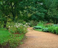 Organic Lawn Garden Garden Paths Organic Lawn Outdoor Walkway
