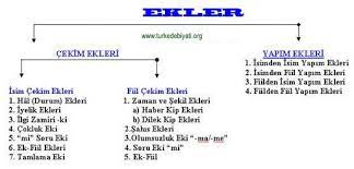 turkcede ekler universite ipuclari ders calisma ipuclari matematik mizah