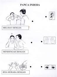 Check spelling or type a new query. Lembar Kerja Tk Tema Panca Indera Images Nomor Siapa