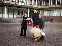 Je ontvangt zo spoedig mogelijk een antwoord op het door jouw. Schapenmarkt Oldebroek Www Oldebroek Net