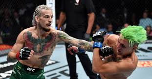 Шон о'мэлли ◊ sean o'malley. L1wffl5wiczvum