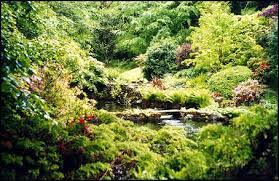 I Want My Backyard To Look Like Something Out Of The Shire Forest Garden Driving Trips Forest House