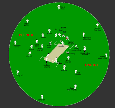 Fielding in the sport of cricket is the action of fielders in collecting the ball after it is struck by the batsman, to limit the number of runs that the batsman scores and/or to get the batsman out by catching the ball in flight or by running the batsman out. Cricket Basics 1 Field Position Saturday Cricket Club