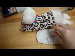 coraptan kedi yapimi youtube corap kedi