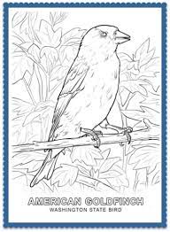 State symbol counted cross stitch. Pin On Usa State Birds