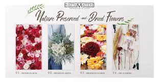 Get latest factory price for dried flowers. Earth Matters Preserved And Dried Flower By Ohchi Nursery Ltd
