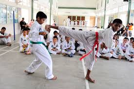 Si hoy en día me diesen a elegir en qué. Sk La Salle Klang Power Sport Taekwondo
