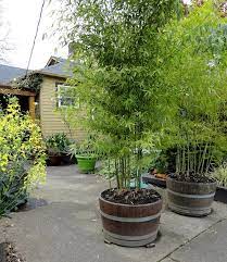Swing measures 36 inches long by 12 inches wide hand rubbed in hemp oil comes with 15 feet of 3/4 inch manilla on each side, rope is rated at 600 pounds each swing is. 17 Best Diy Wine Barrel Planter Ideas Balcony Garden Web