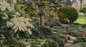 Rhododendrons, lavendula, cedrus atlantica, ginkgo biloba, japanese azaleas, acer palmatum 'katsura', japanese acers including acer palmatum atropurpureum, and acer palmatum 'crimson queen', buxus sempervirens globes, pinus sylvestris, pinus mugho, abies, astilbe, taxus cloud tree, ophiopogon japonica, ferns, moss, hosta, juniperus, equisetum japonicum & wisteria. Natural Escapes 10 Japanese Gardens In The Uk And Ireland Travel Japan Jnto