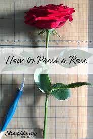 Preserve your beautiful blooms for years to come. How To Press A Rose Pressed Flowers Diy Dried Flowers Diy Pressed Flower Crafts