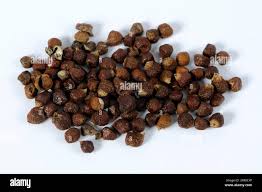 Image result for Aframomum mala