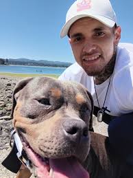 I'll be missing my dog now going