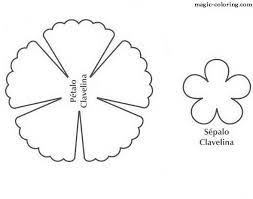Magic Coloring Dianthus Carnation Flower Template Flower Template Paper Flower Printable Templates Flower Templates Printable