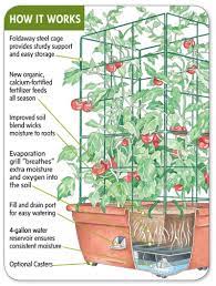 15 Adorable Diy Cute And Funky Self Watering Planter Pots Inspirations Freshouz Com Plants Self Watering Containers Tomato Planter