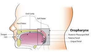 Many symptoms of throat cancer do not develop in the early stages of the disease. Hpv And Oropharyngeal Cancer Cdc