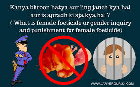 Pin On Www Lawyerguruji Com