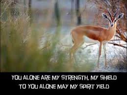 As the deer panteth for the water