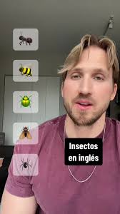 Vocabulario importante en inglés. #aprenderingles #learnspanish  #inglesbasico #englishteacher #professordeingles