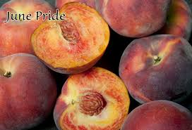 Image result for Peach Melba Yellow 1977 Holden Fleet