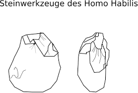 For example, that oldest (possible) homo habilis fossil from. Evolution Des Menschen Homo Habilis