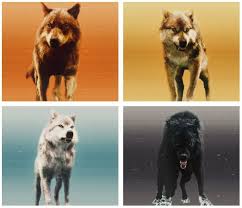 Jake, Seth, Leah, && Sam.