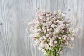 Maybe you would like to learn more about one of these? Schone Zarte Duft Von Sommerwiesenblumen Auf Holzuntergrund Blumenaufbau In Landlichen Vintage Stil Lizenzfreie Fotos Bilder Und Stock Fotografie Image 46474871
