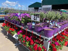 Our aquatic superstore is one of the largest in the country. Windermere Garden Centre Now Real Canadian Superstore Facebook