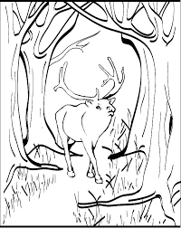 If the call of the wild is calling you, why not color it. Elk Coloring Page Animals Town Free Elk Color Sheet